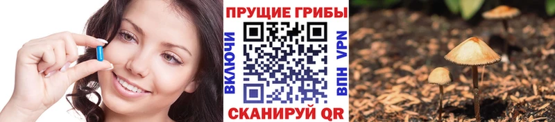 Галлюциногенные грибы GOLDEN TEACHER  закладка  Котлас 
